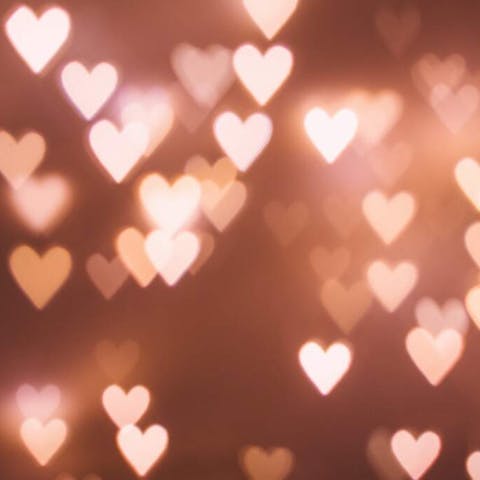 Different Kinds of Love: Exploring the Depths of Human Connection
