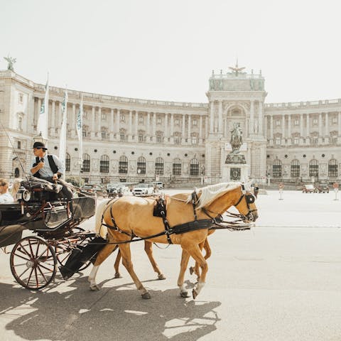 What To Do In Vienna, History And Culture.