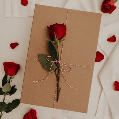 Roses: The Timeless Beauty of Nature