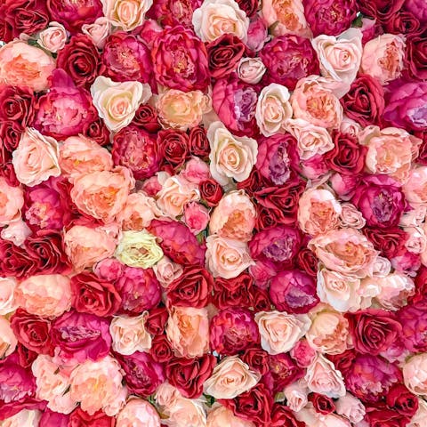 How to Keep Roses Alive: A Comprehensive Guide to Rose Care