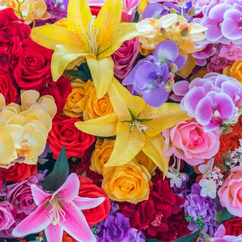 A Guide To Europe’s Most Popular Flowers