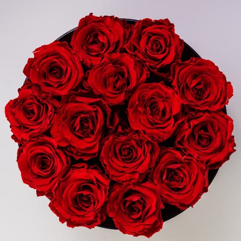 The Timeless Beauty of Roses: Symbolizing Love and Romance