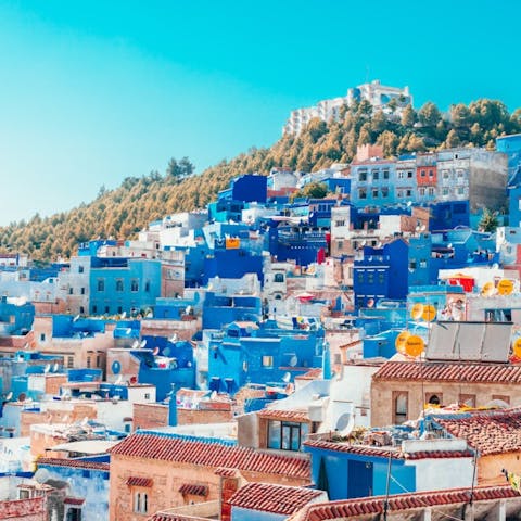 Blossoming Beauty: A Guide to the Flowers of Morocco