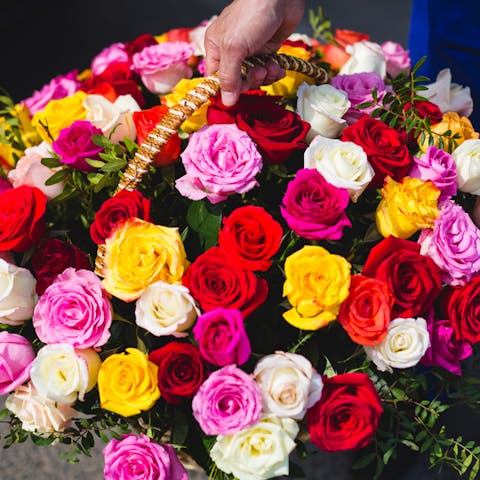 Multi-Colored Roses: The Beautiful Rainbow