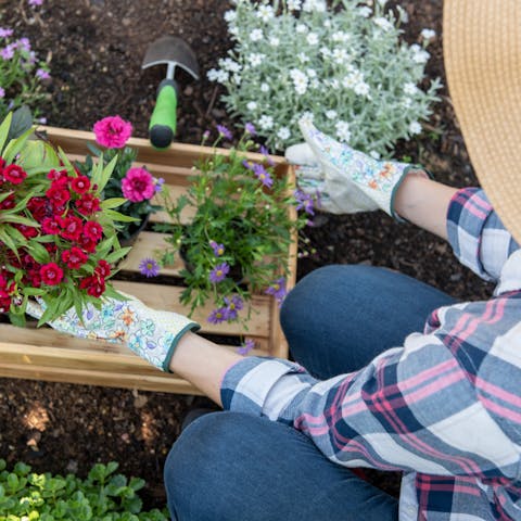 How to Plant Flowers – Everything You Need to Know About Having A Successful Garden