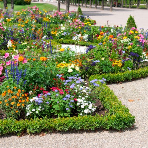 So Many Flower Beds: Which Should you Choose?