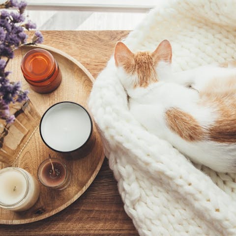 How to avoid getting bored: tips to enjoy your time at home