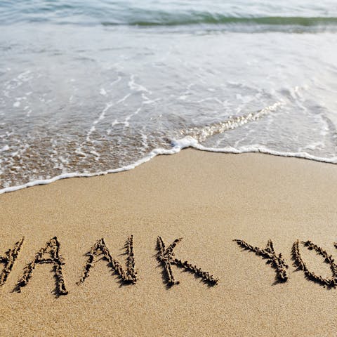 The Best Way to Send a Thank You Message Is by Offering Flowers 