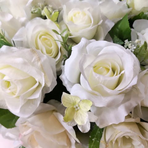 The Sublime and Elegant White Rose Meaning