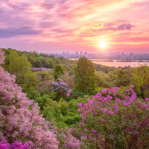 What Are the Benefits of Botanical Gardens?