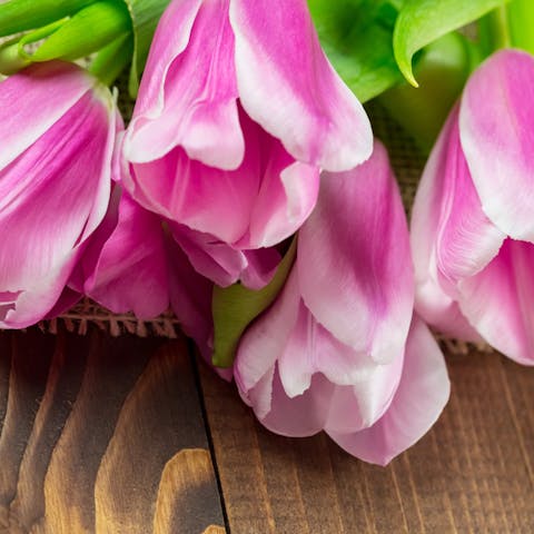 Sharing the Top 10 Get Well Gift Ideas for Anyone and Everyone