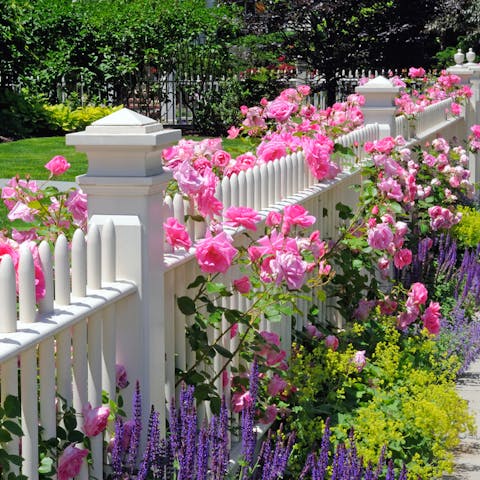 Flower Definition: The Most Important Functions Of Flowers