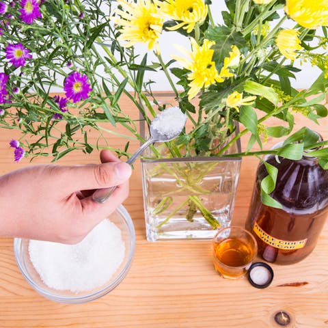 How to Keep Cut Flowers Fresh: A Guide for Making them Last Longer
