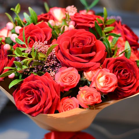 A Guide to the Beautiful Rose Flower
