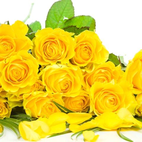 The Meaning and Symbolism Behind Yellow Roses
