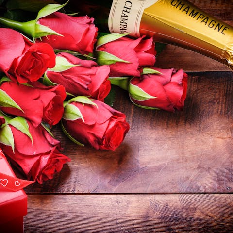 Find the Perfect Rose for Any Occasion