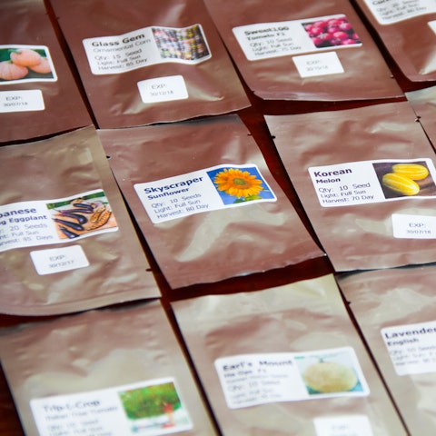 Flower Seeds