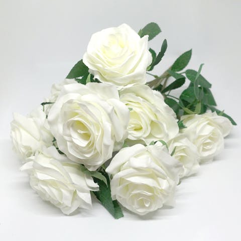 What Do White Roses Mean and Symbolize?