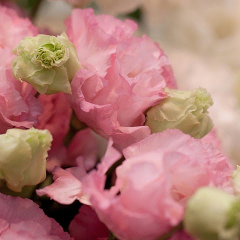 Victorian Flower Language: How They Encoded Their Messages into Bouquets