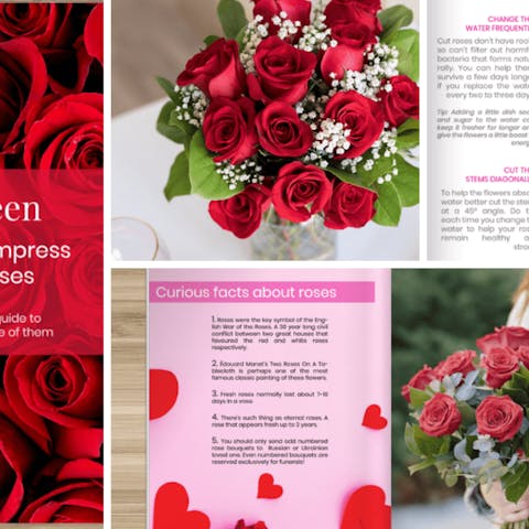 All You Need To Know About Roses – Discover Our Brand New eBook