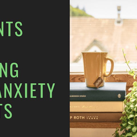 6 Plants With Amazing Anti-Anxiety Effects