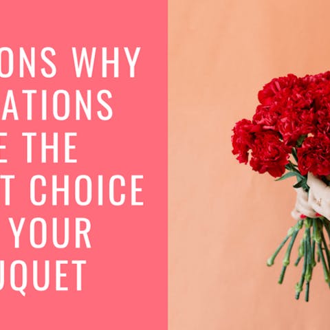 7 Reasons Why Carnations Are The Perfect Choice For Your Bouquet
