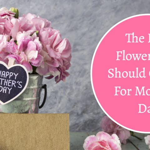 Best Flowers For Mother’s Day