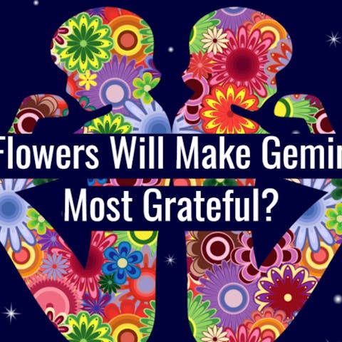 What Flowers Will Make Geminis The Most Grateful?