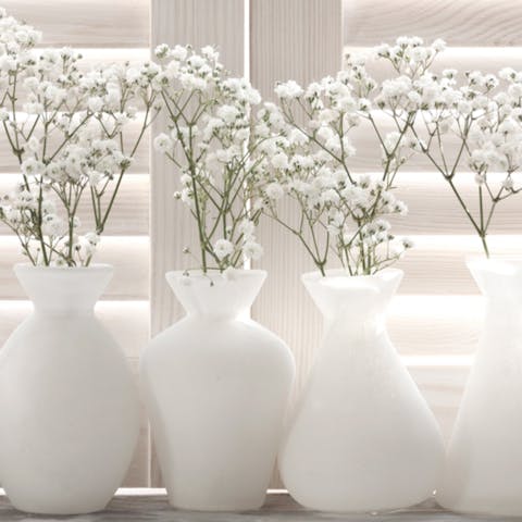 White Flowers Meaning and When to Send Them