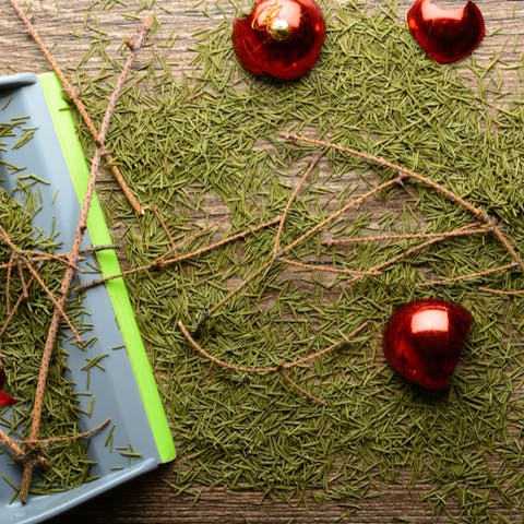 How to dispose of your Christmas Tree After The Holidays