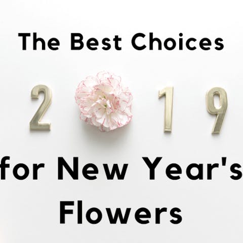 The Best Choices for New Year’s Flowers