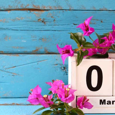 Why We Celebrate International Women’s Day on March 8th