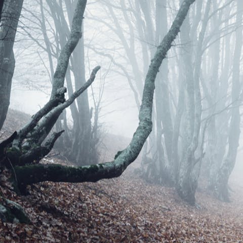 6 Times Plants Made us Scream in Movies