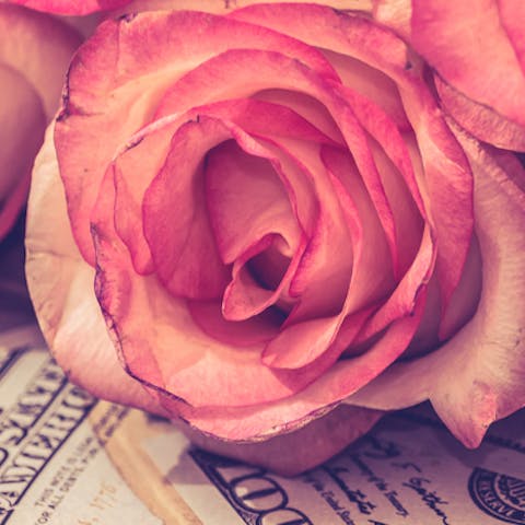 Why Do People Pay a Premium Price for Flowers?