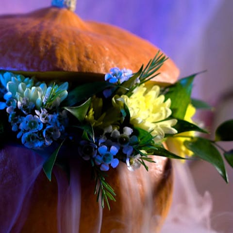 6 Terrifying Plants for Halloween