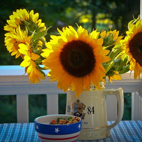 Summer is coming… Brighten it up with colourful flowers!