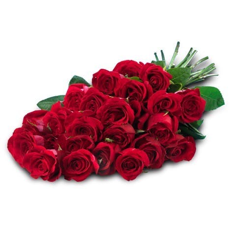 What Sort of Flowers Do I Send On Valentine’s Day?
