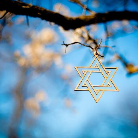 10 Reasons Why Flowers in Judaism and Jewish Life are More Than Just Decorations